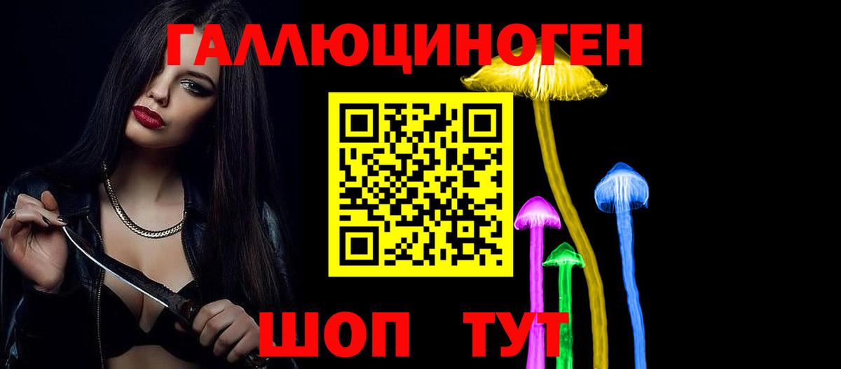Чебаркуль  Псилоцибиновые грибы Psilocybine cubensis  наркота  Вход с VPN 